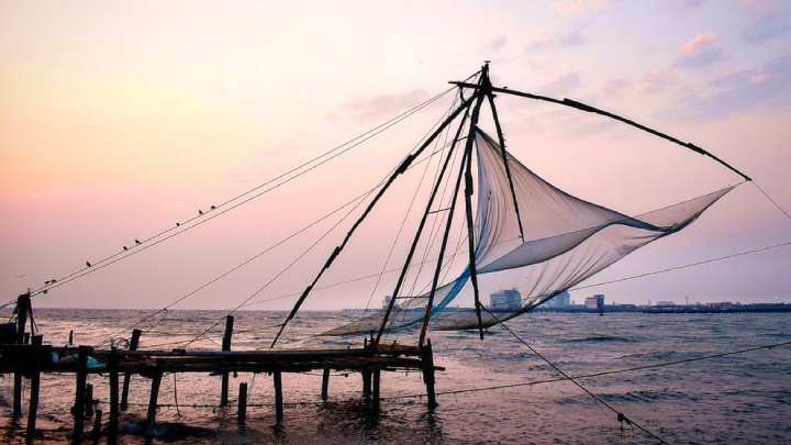 Kochi Fishing